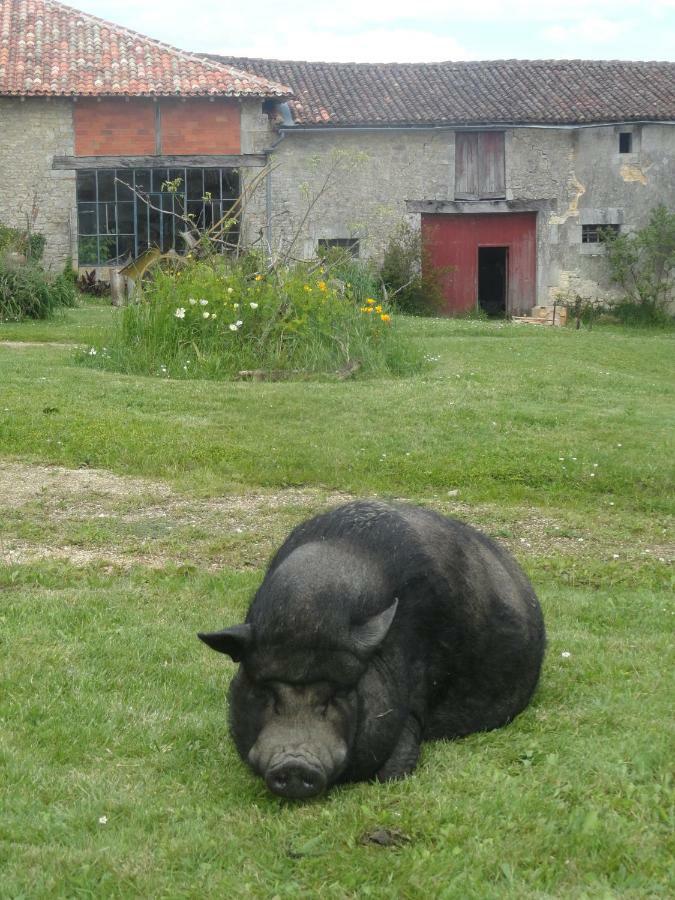 Eco Logis De Chantegrolle Champagne-Mouton Bagian luar foto