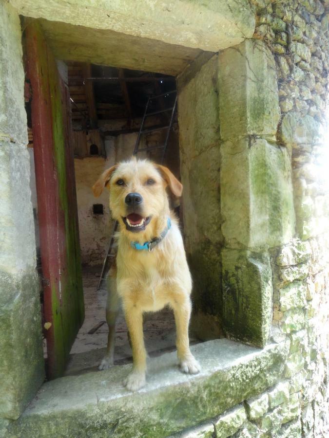 Eco Logis De Chantegrolle Champagne-Mouton Bagian luar foto